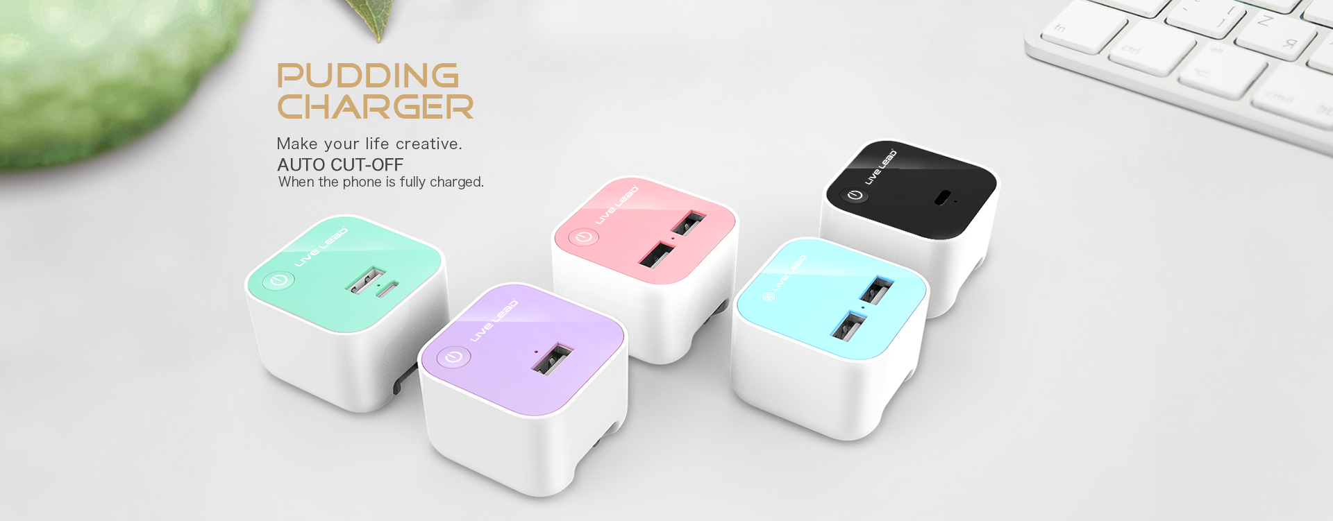 LL-T089EU PD Wall Charger